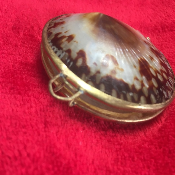 Unique Shell Locket/Box - Picture 4 of 7